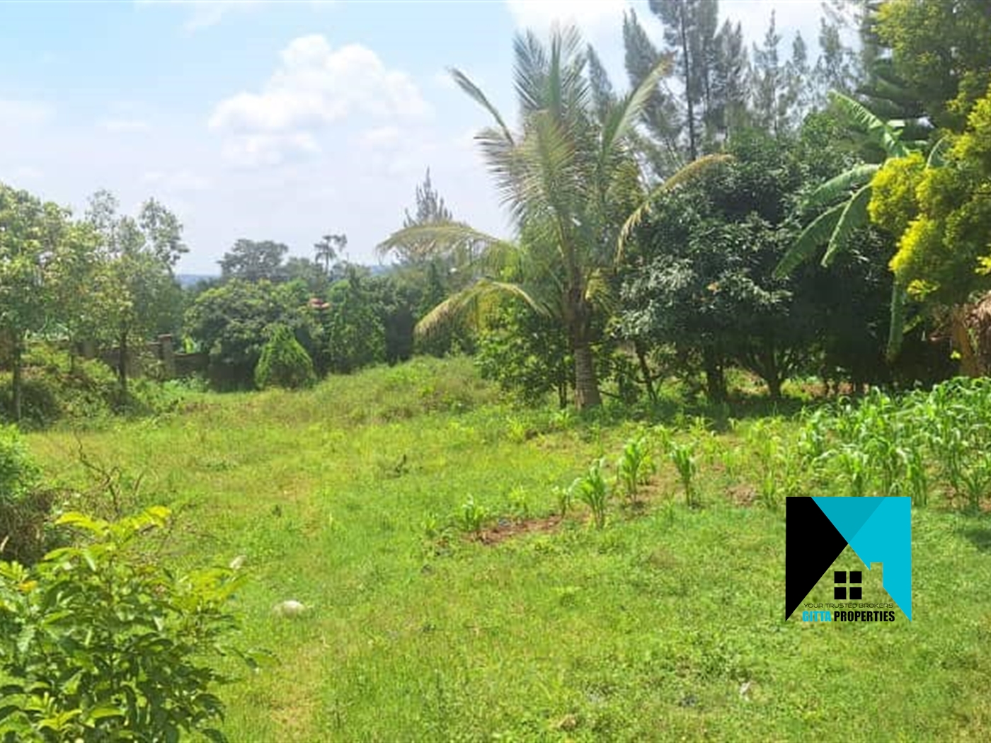 Residential Land for sale in Buwaate Wakiso