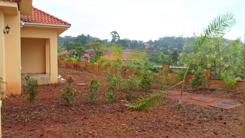 Bungalow for rent in Bwebajja Wakiso