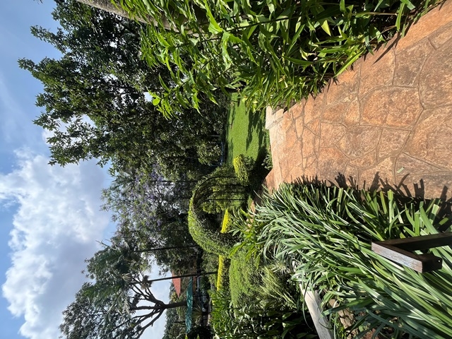 Apartment for rent in Kololo Kampala