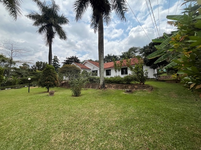 Bungalow for rent in Mbuya Kampala