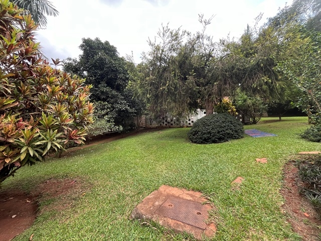 Bungalow for rent in Mbuya Kampala