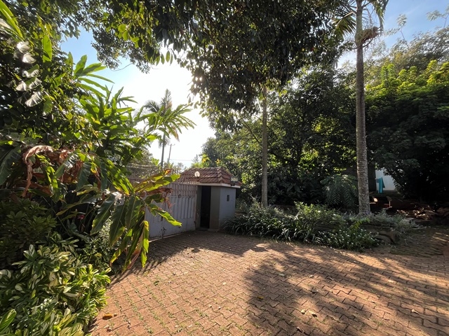 Bungalow for rent in Kololo Kampala