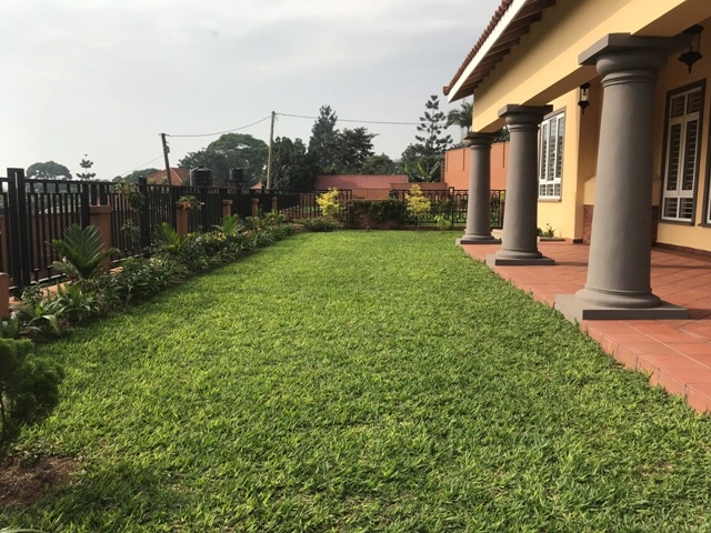 Villa for rent in Lubowa Wakiso