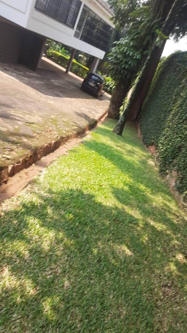 Bungalow for rent in Mbuya Kampala