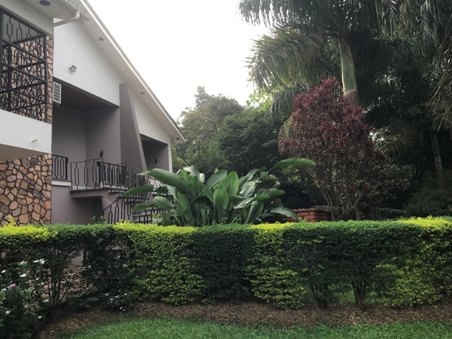 Bungalow for rent in Mbuya Kampala