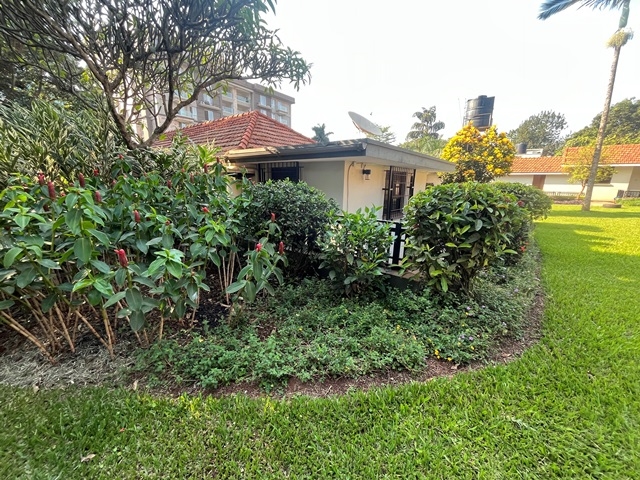 Bungalow for rent in Kololo Kampala