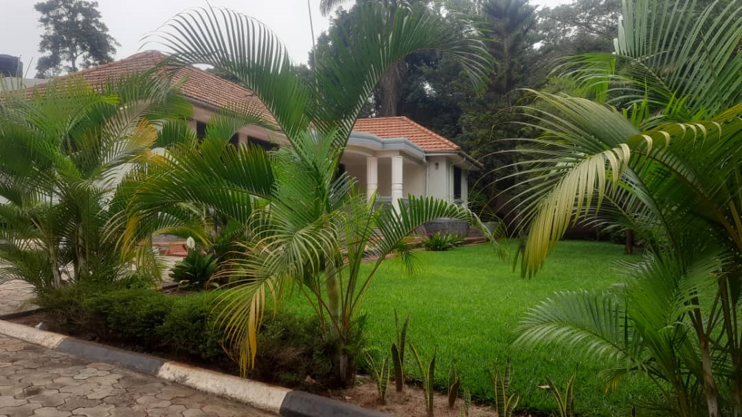 Bungalow for rent in Kololo Kampala