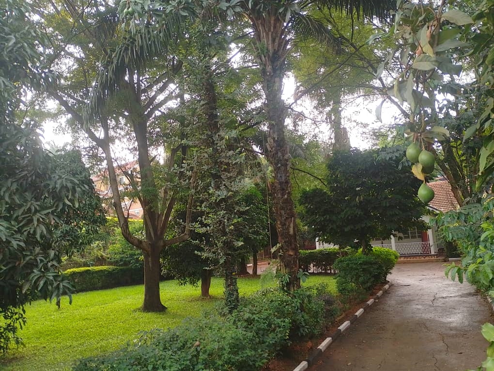 Bungalow for rent in Naguru Kampala