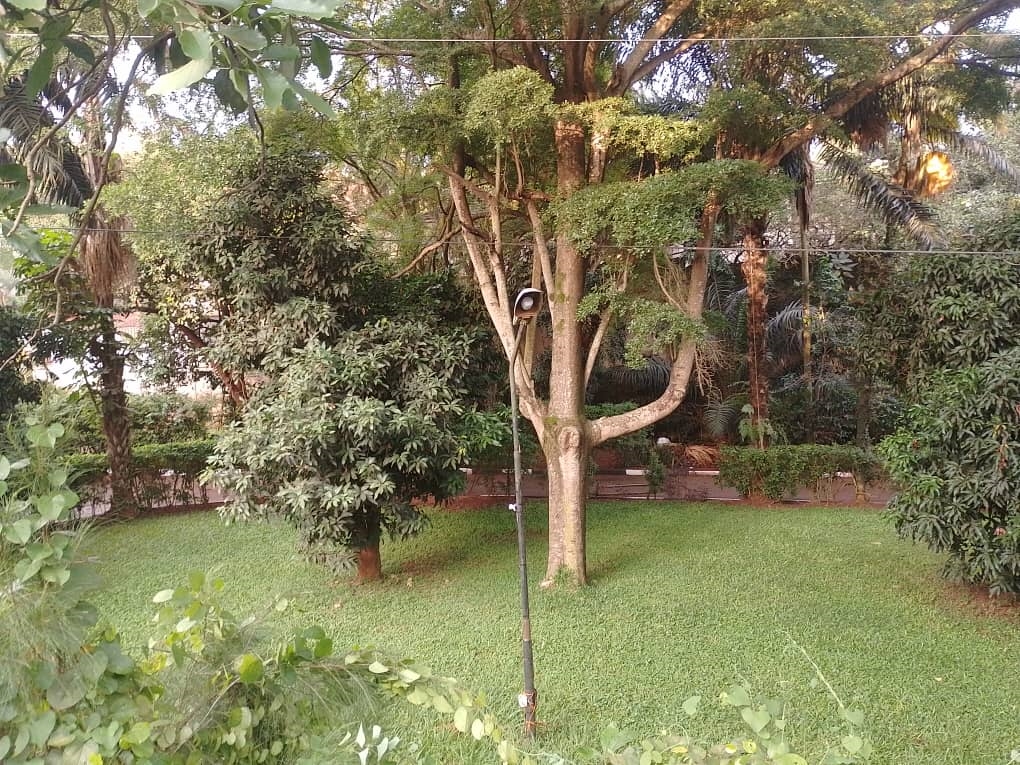 Bungalow for rent in Naguru Kampala