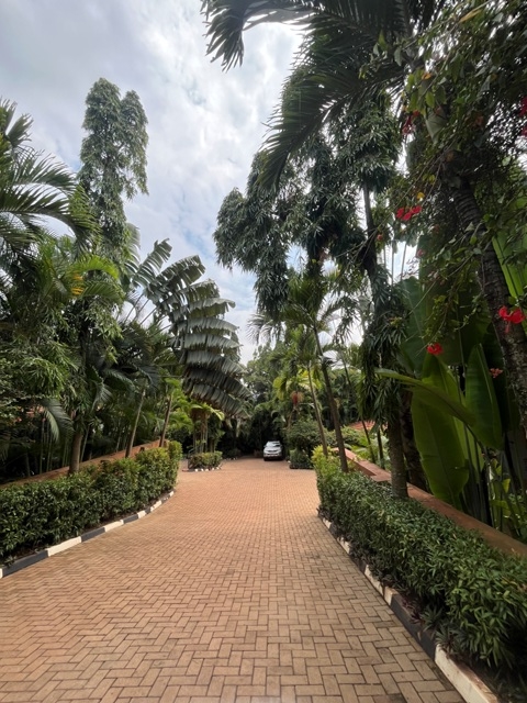 Villa for rent in Kololo Kampala