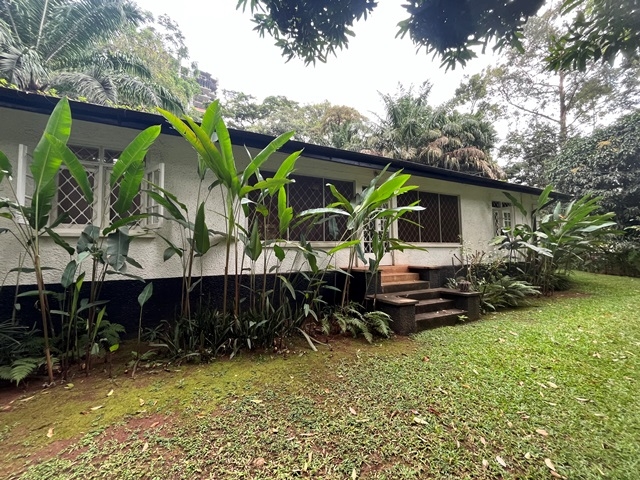 Bungalow for rent in Nakasero Kampala