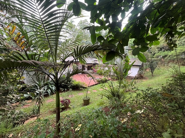 Bungalow for rent in Nakasero Kampala