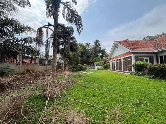 Bungalow for rent in Muyenga Kampala