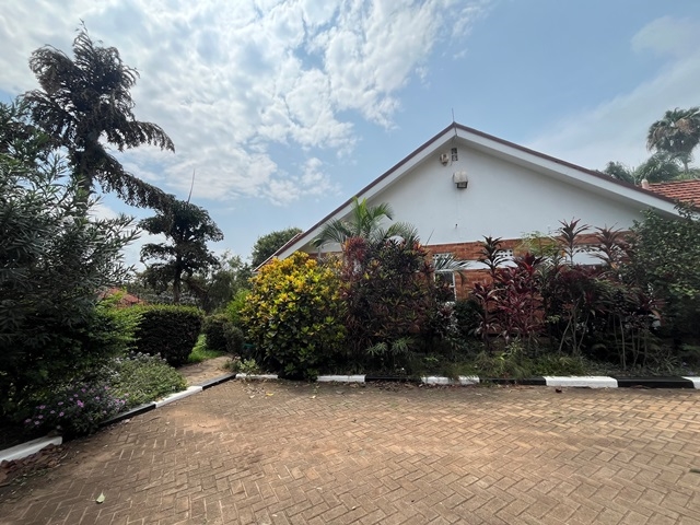 Bungalow for rent in Muyenga Kampala