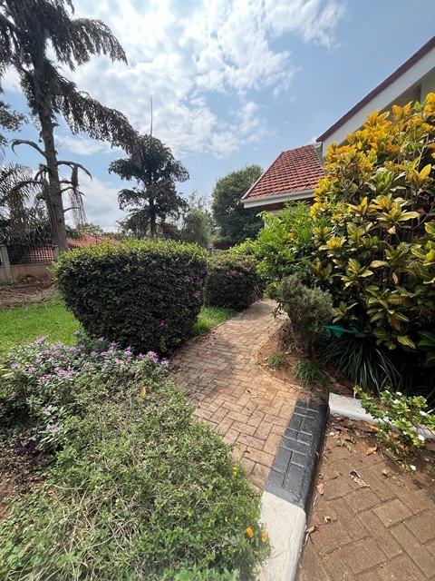 Bungalow for rent in Muyenga Kampala