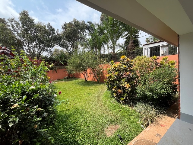 Bungalow for rent in Muyenga Kampala