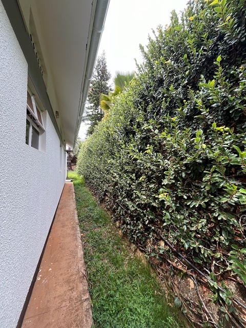 Bungalow for rent in Muyenga Kampala