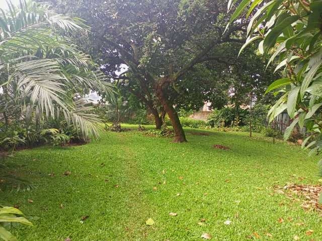 Bungalow for rent in Kololo Kampala