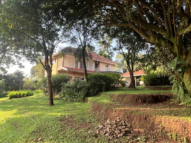 Storeyed house for rent in Mbuya Kampala