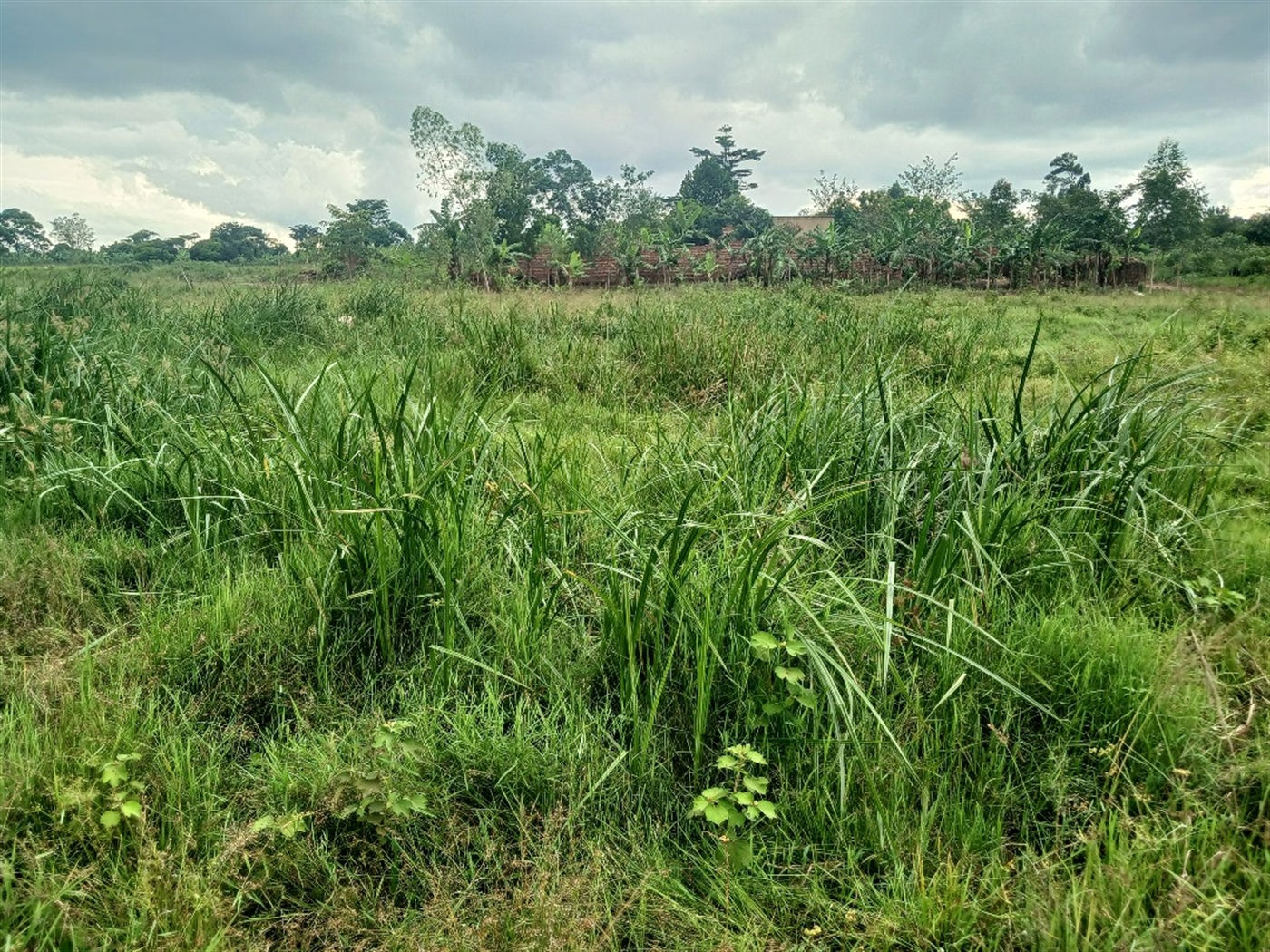 Recreational Land for sale in Ziloobwe Luweero