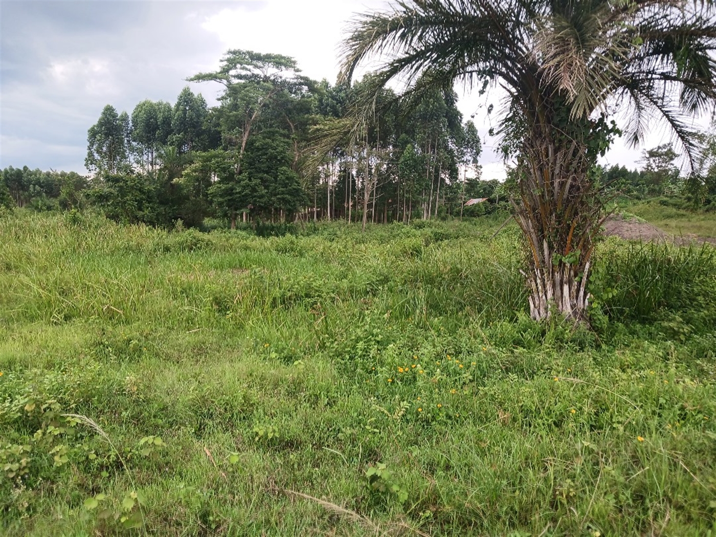 Recreational Land for sale in Ziloobwe Luweero