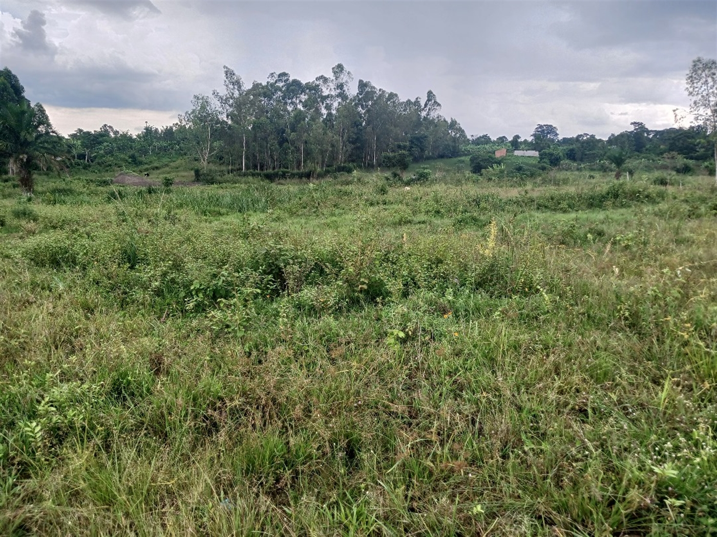 Recreational Land for sale in Ziloobwe Luweero