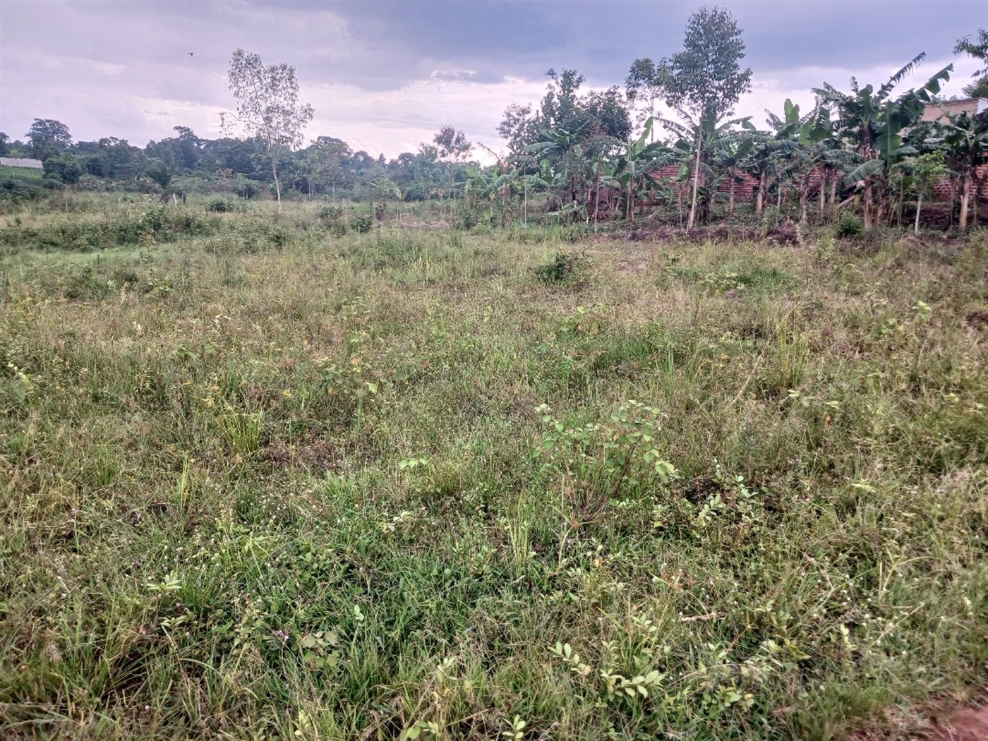 Recreational Land for sale in Ziloobwe Luweero