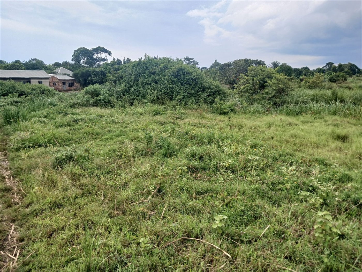 Recreational Land for sale in Ziloobwe Luweero