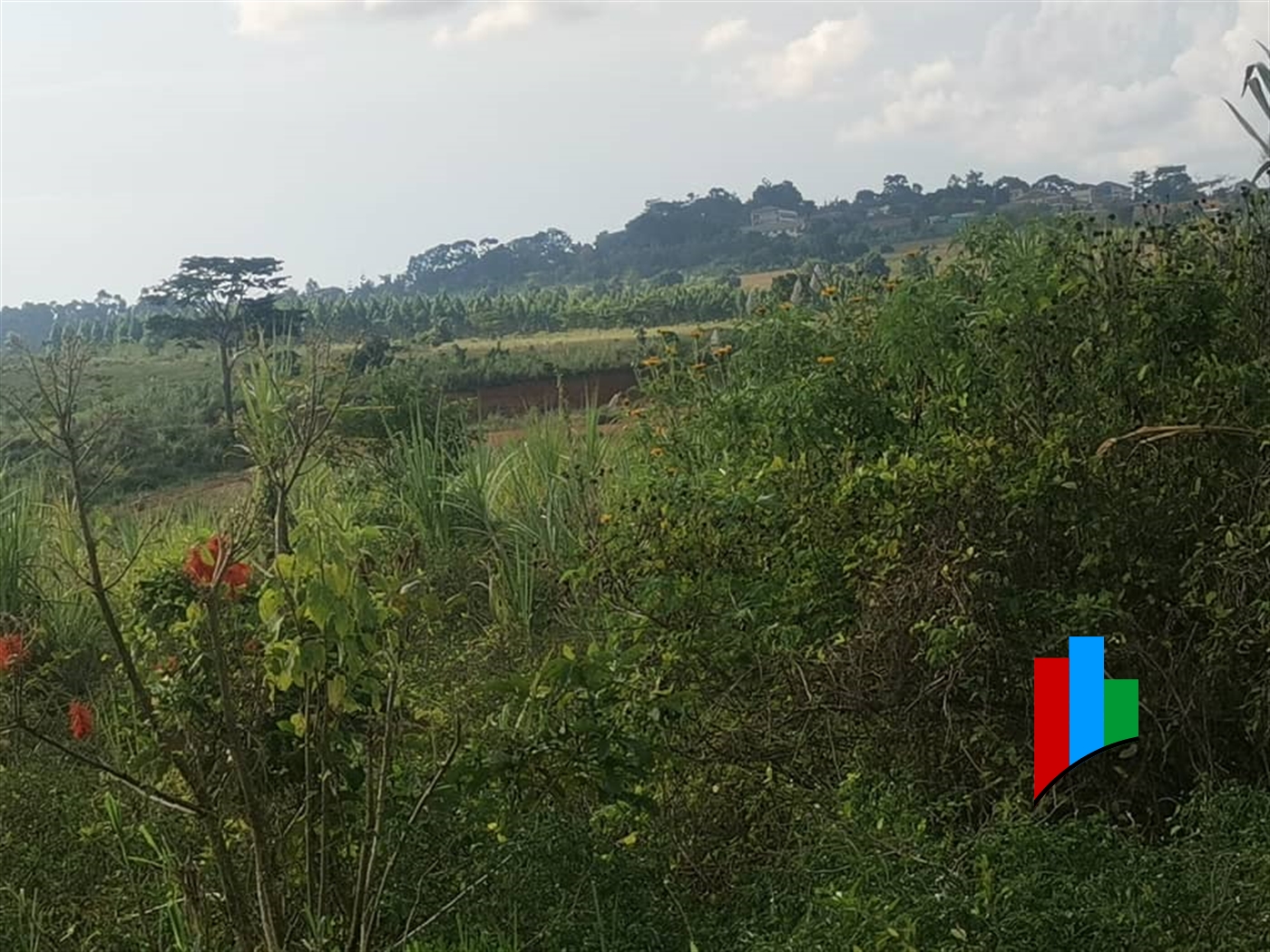 Industrial Land for sale in Namanve Mukono