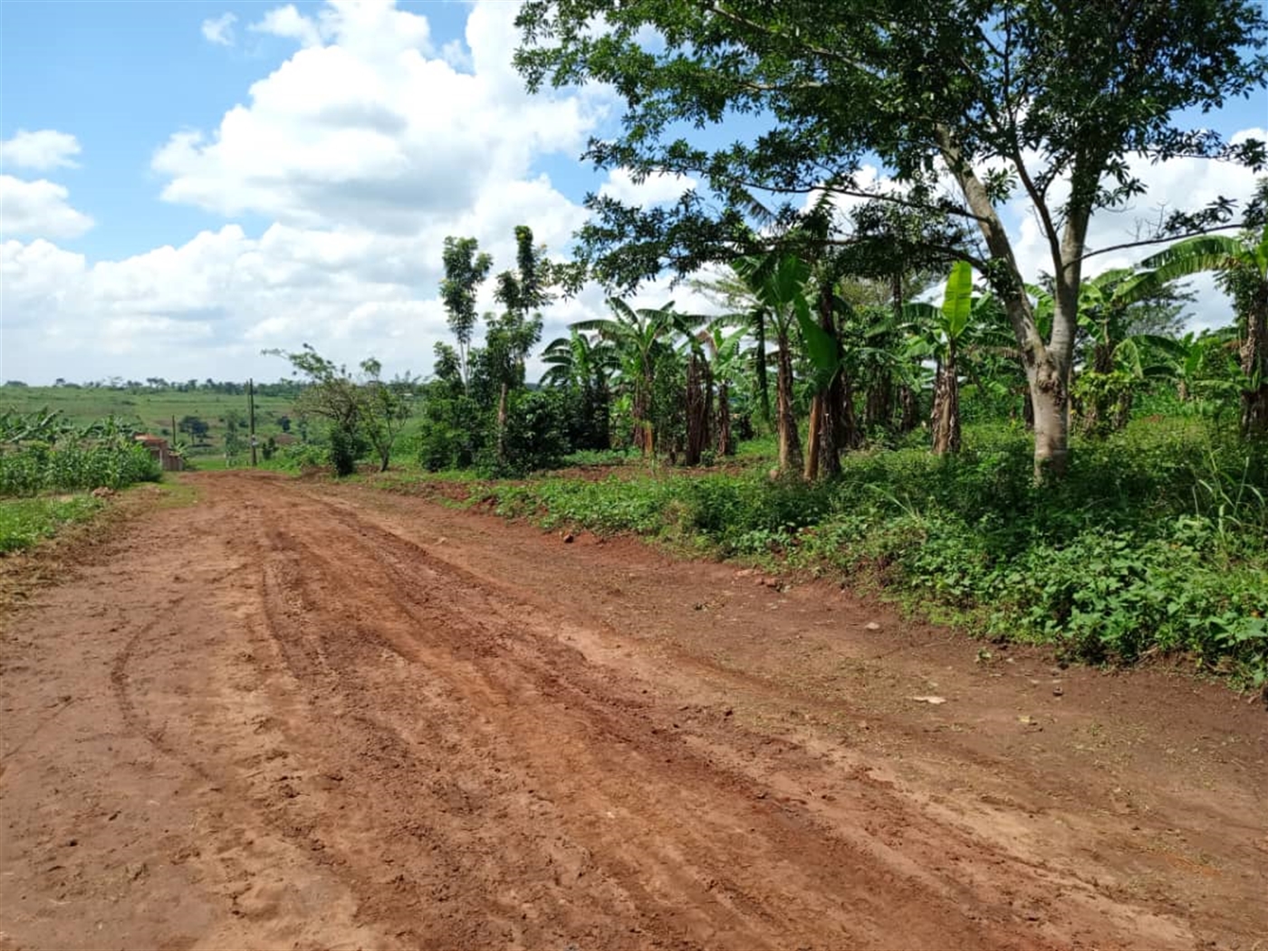 Residential Land for sale in Kiwenda Wakiso