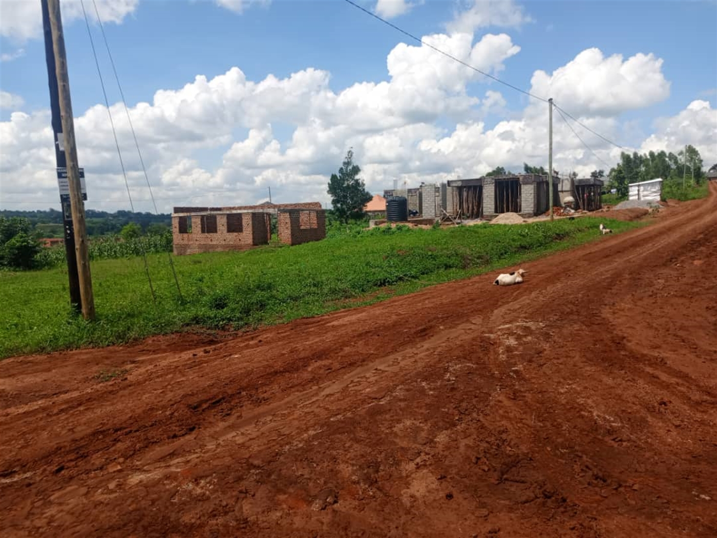 Residential Land for sale in Kiwenda Wakiso