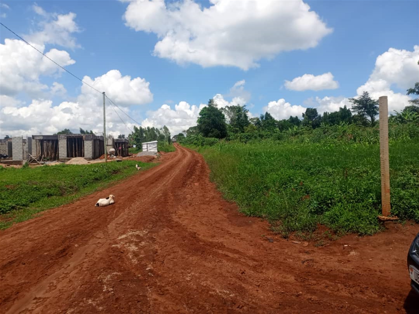 Residential Land for sale in Kiwenda Wakiso