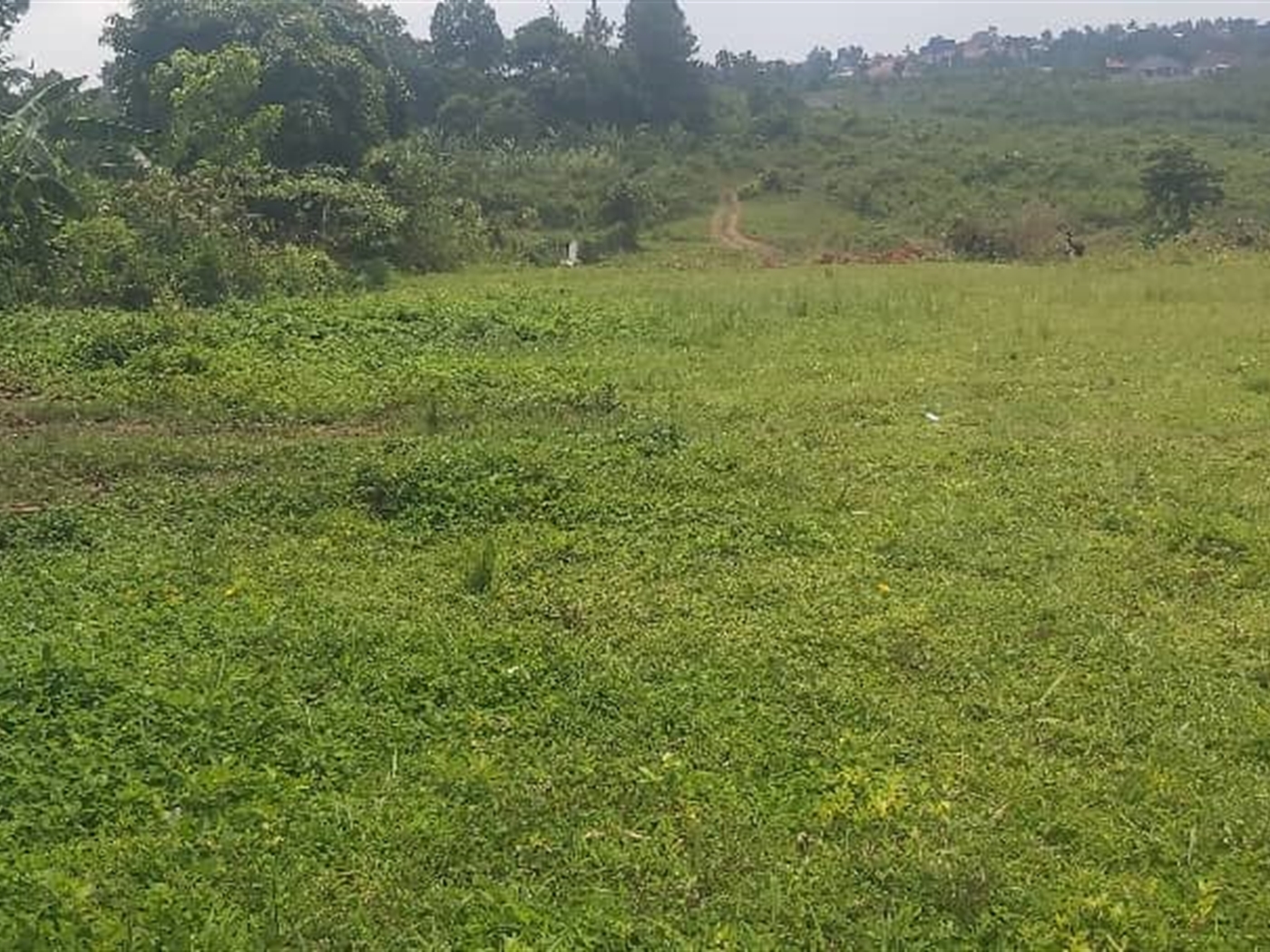 Agricultural Land for sale in Kalagi Mukono