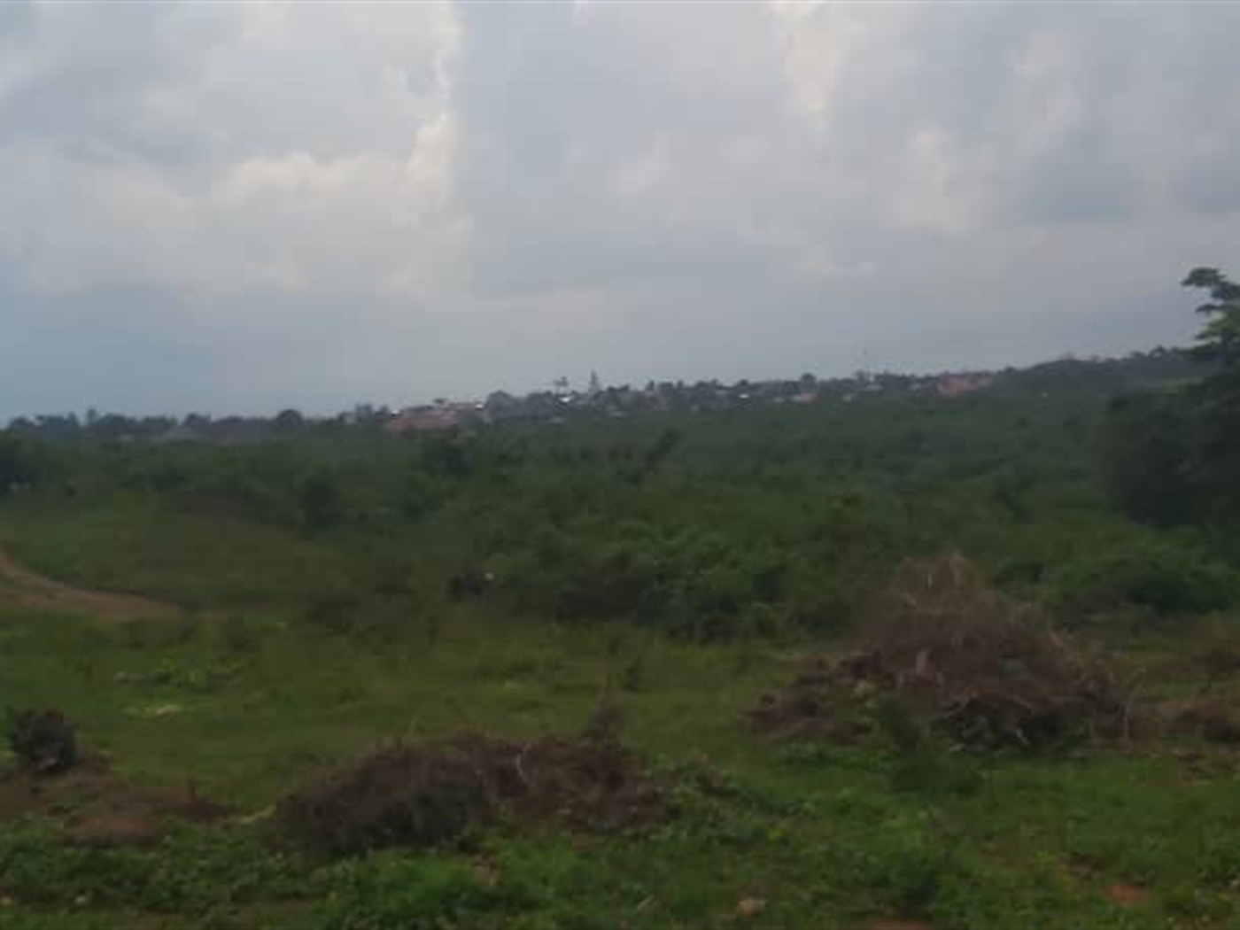 Agricultural Land for sale in Kalagi Mukono