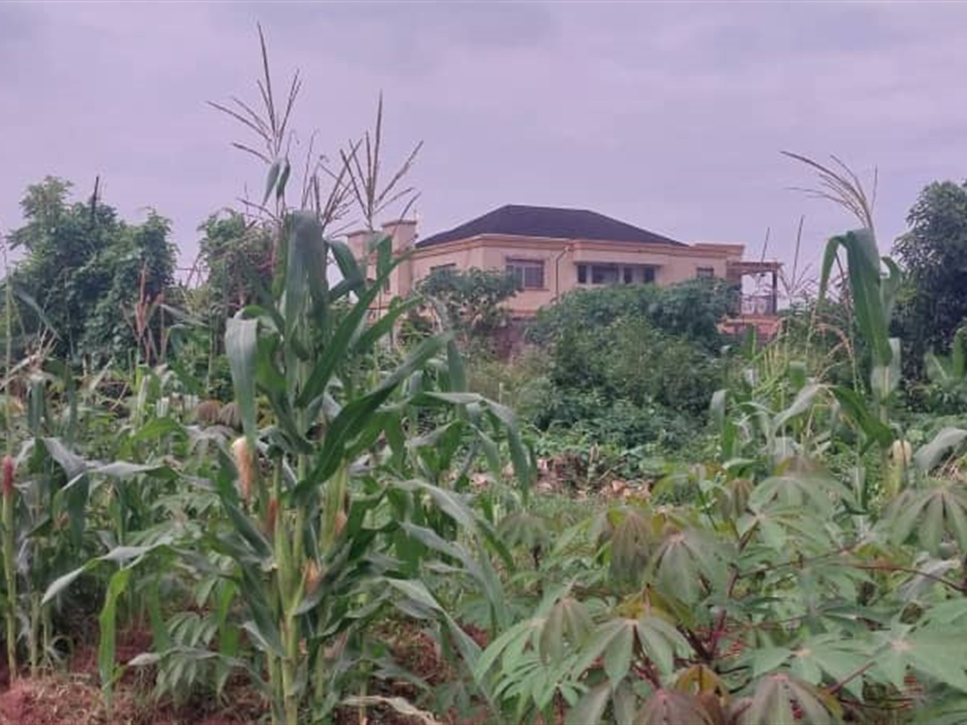 Commercial Land for sale in Kira Wakiso