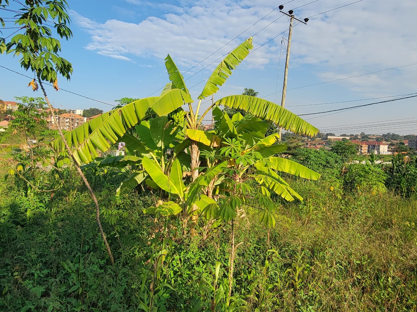 Commercial Land for sale in Najjera Kampala