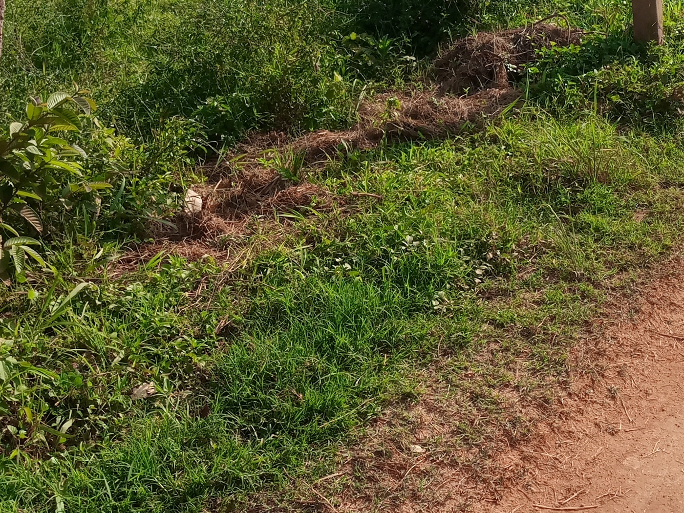 Residential Land for sale in Buwaate Wakiso