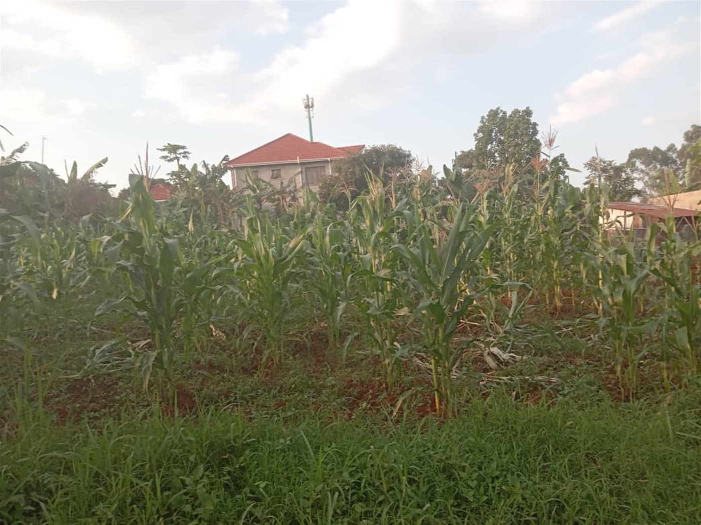 Residential Land for sale in Buwaate Wakiso