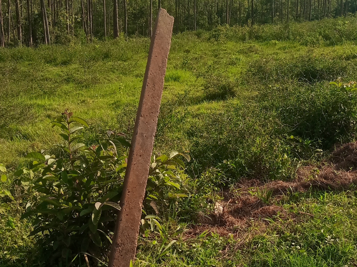 Residential Land for sale in Buwaate Wakiso