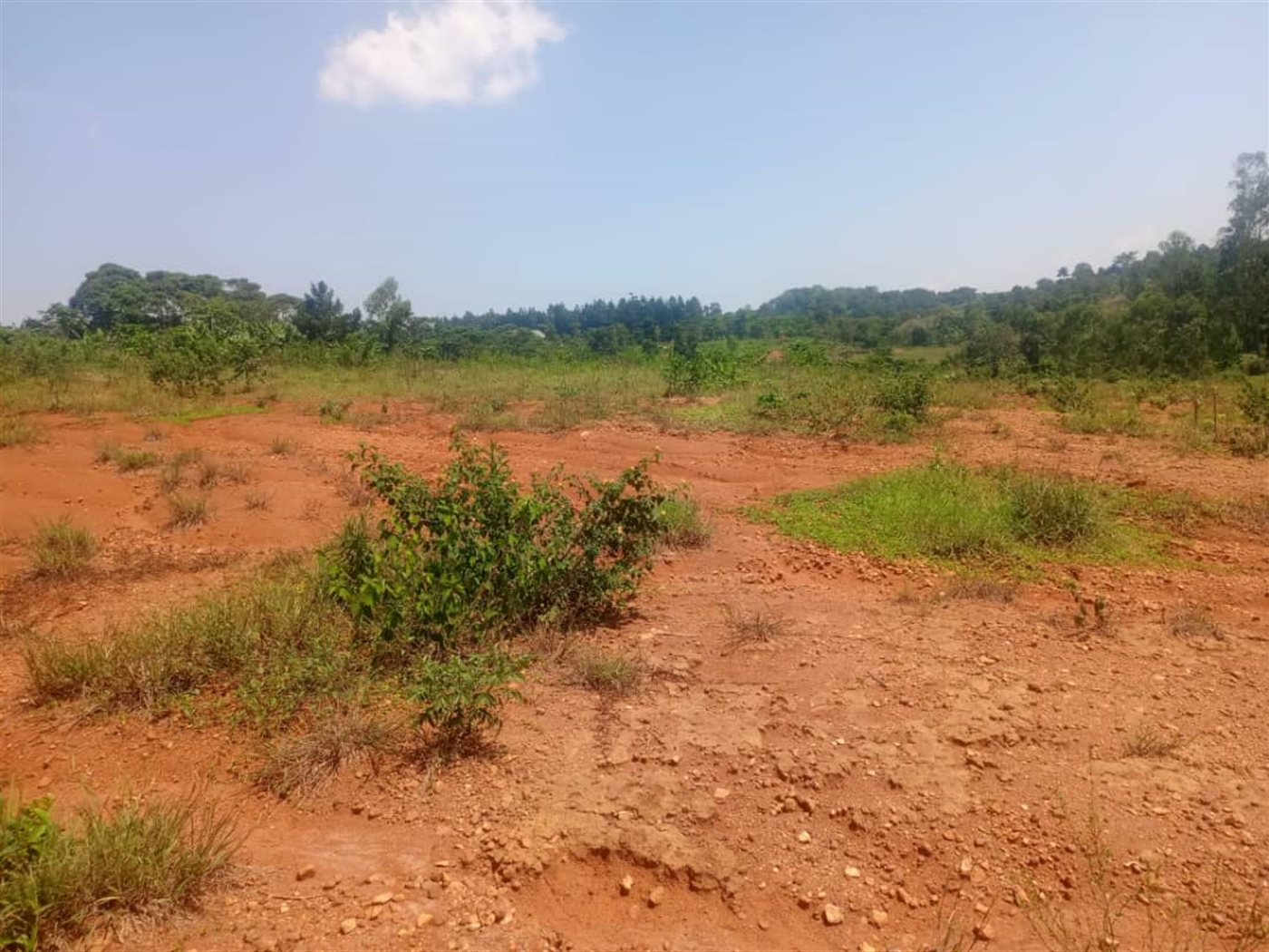 Residential Land for sale in Nakasajjaa Wakiso