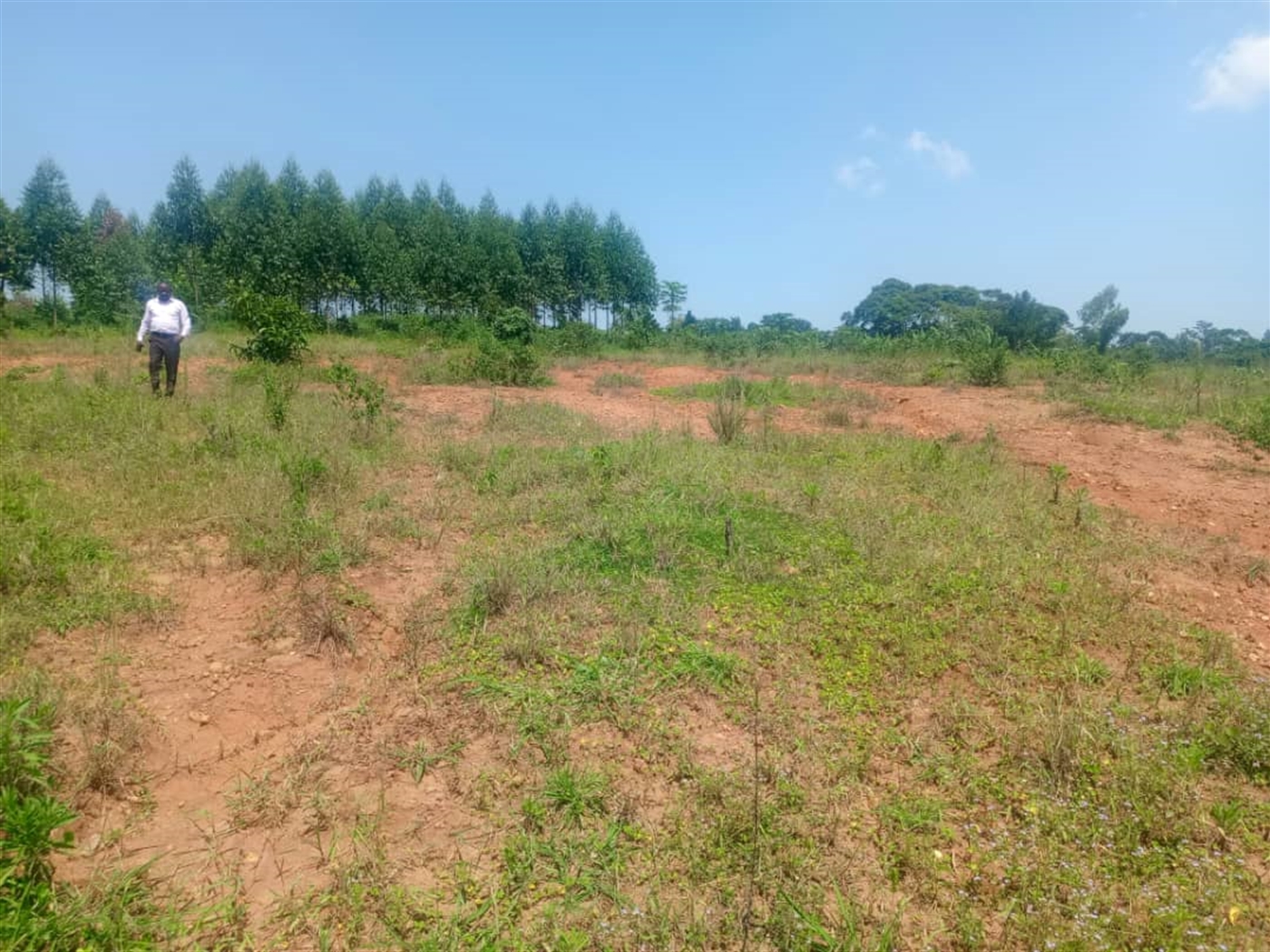 Residential Land for sale in Nakasajjaa Wakiso