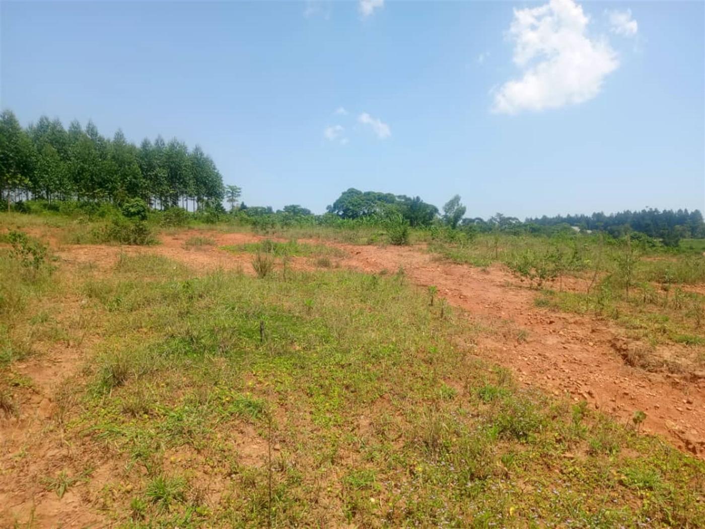 Residential Land for sale in Nakasajjaa Wakiso