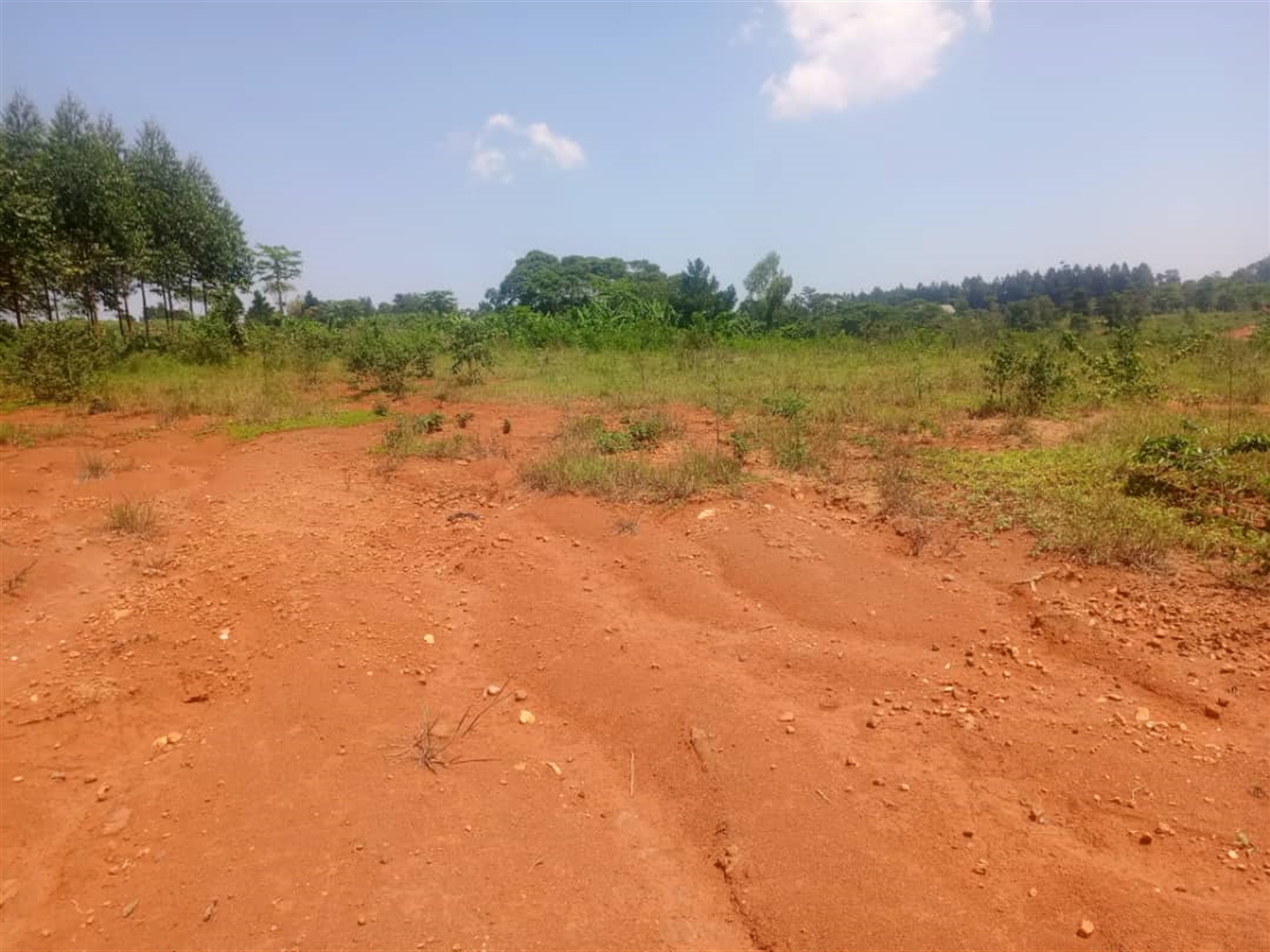 Residential Land for sale in Nakasajjaa Wakiso