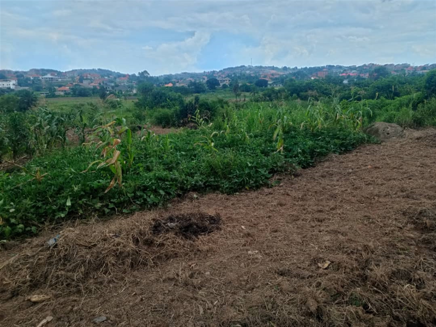 Residential Land for sale in Kira Wakiso