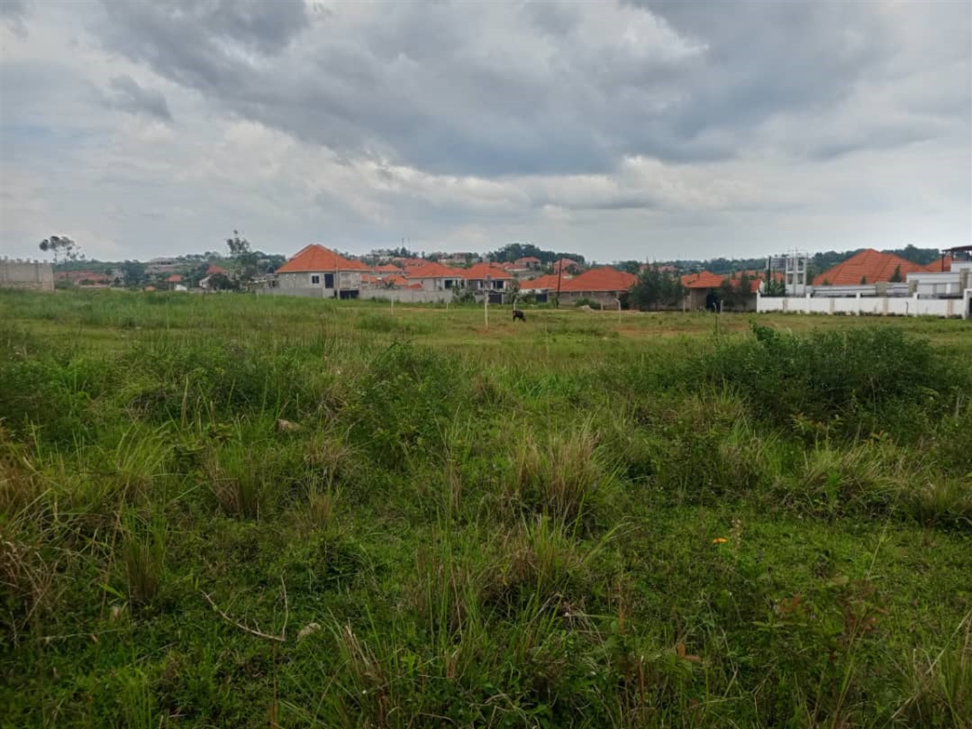 Residential Land for sale in Kira Wakiso