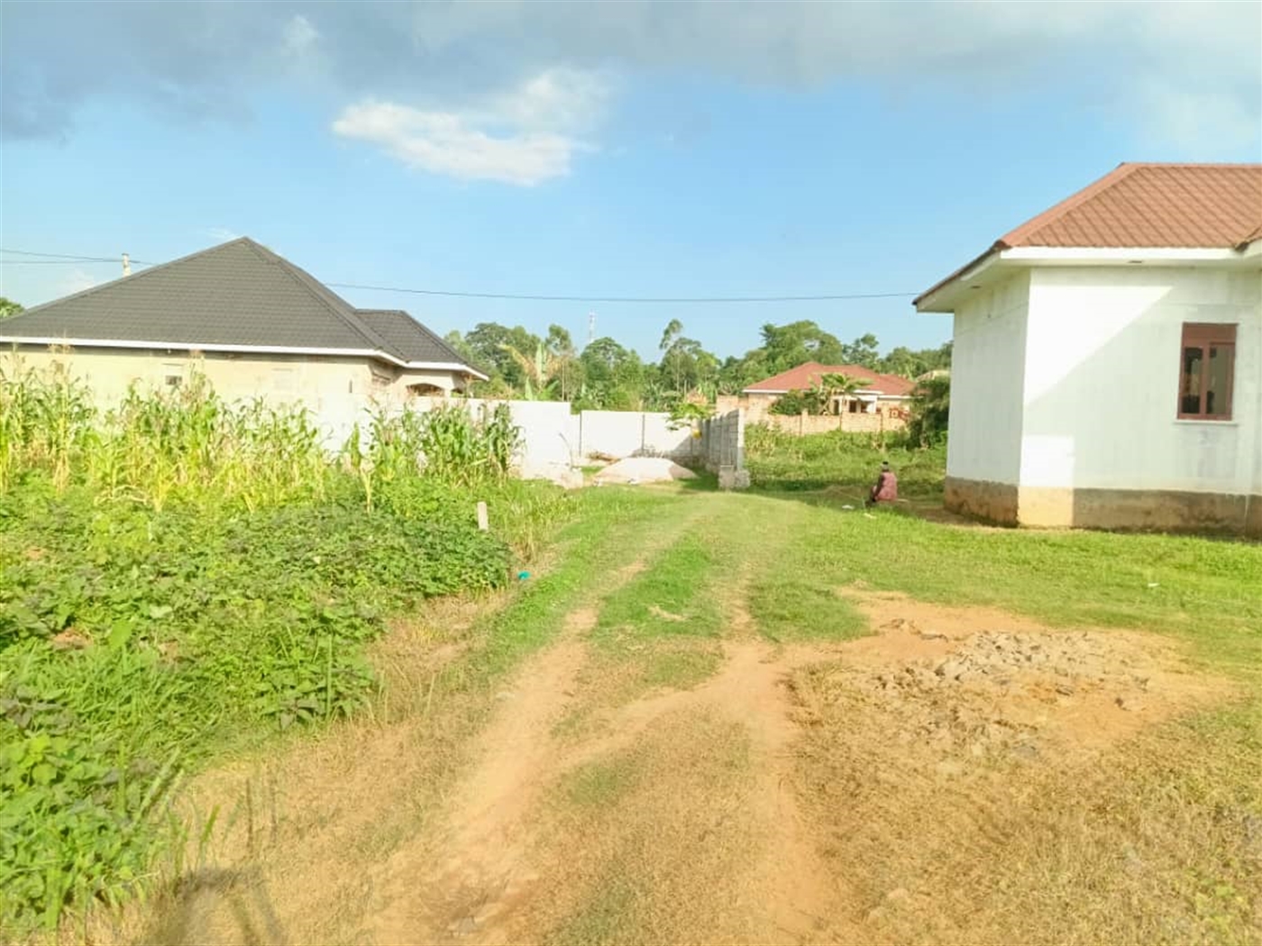 Residential Land for sale in Bajjo Mukono