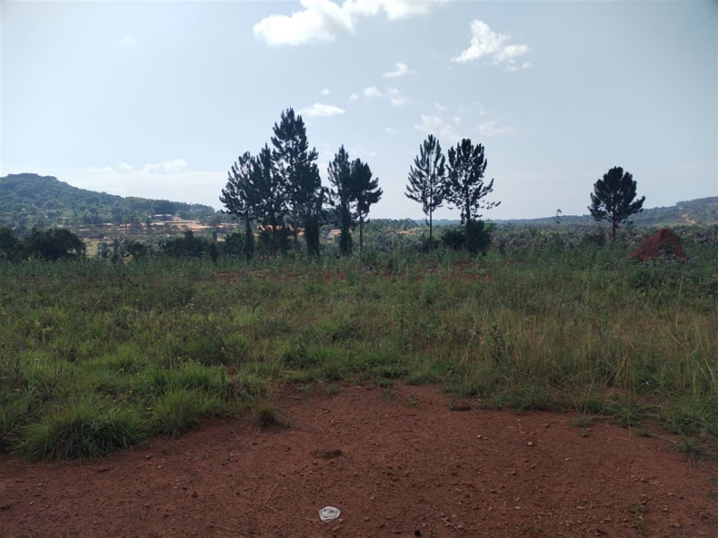 Commercial Land for sale in Nakauka Wakiso