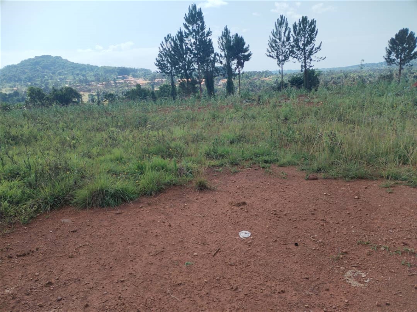 Commercial Land for sale in Nakauka Wakiso