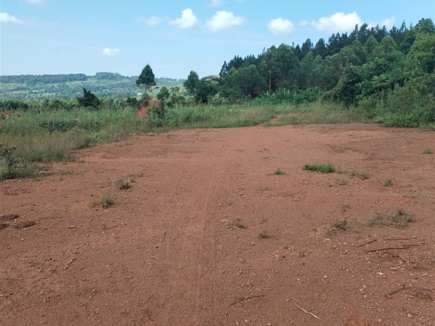 Commercial Land for sale in Nakauka Wakiso