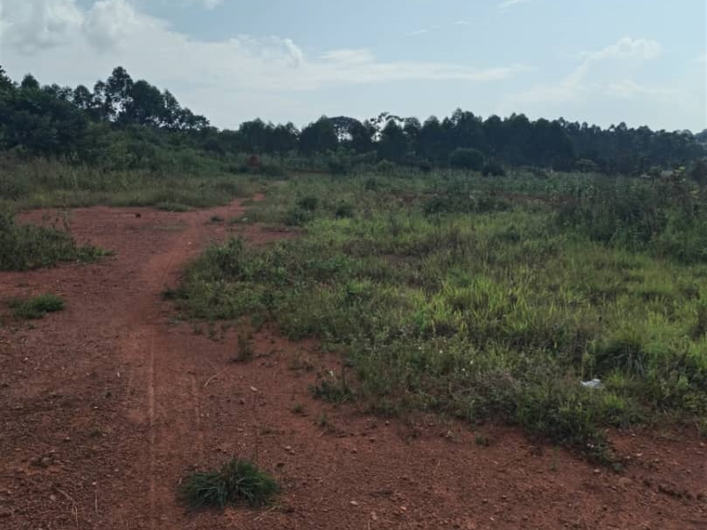 Commercial Land for sale in Nakauka Wakiso